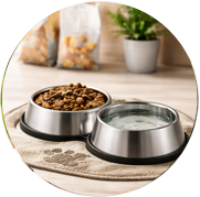 Bowls & Feeding