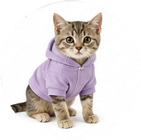 Cat Clothing