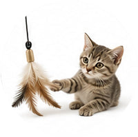 Interactive Cat Toys
