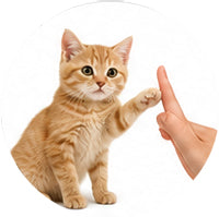 Cat Training Supplies