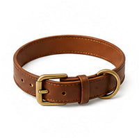 Dog Collars