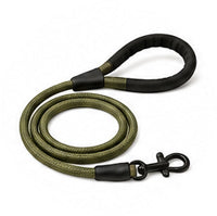 Dog Leashes