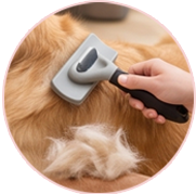 Shedding & Fur Control
