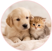Puppies & Kittens