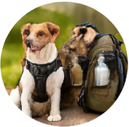 Travel & Outdoors