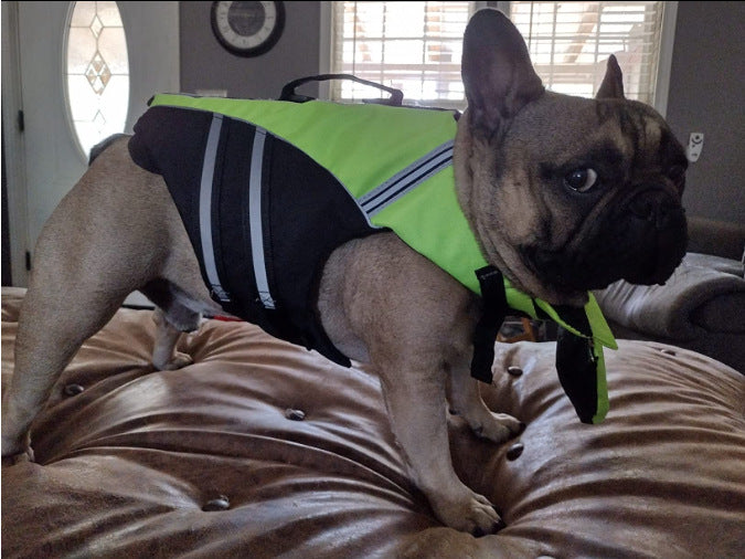 Premium Dog Life Jacket with Rescue Handle & Reflective Safety Strips | Adjustable Buoyancy Vest for Swimming, Boating & Water Adventures