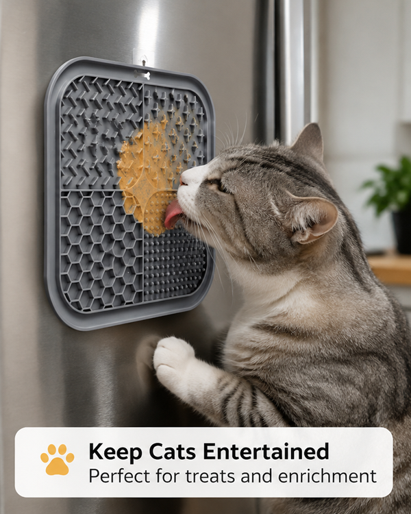 feature image
