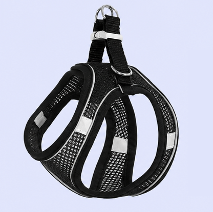 Reflective Breathable Dog Harness & Leash Set | Adjustable No-Pull Vest Harness for Small & Medium Dogs | BowBooPets