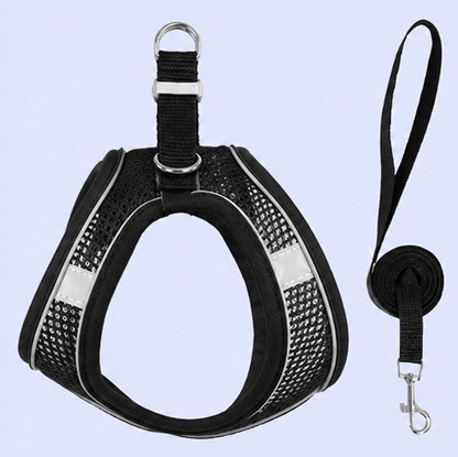 Reflective Breathable Dog Harness & Leash Set | Adjustable No-Pull Vest Harness for Small & Medium Dogs | BowBooPets