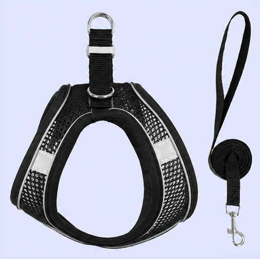Reflective Breathable Dog Harness & Leash Set | Adjustable No-Pull Vest Harness for Small & Medium Dogs | BowBooPets