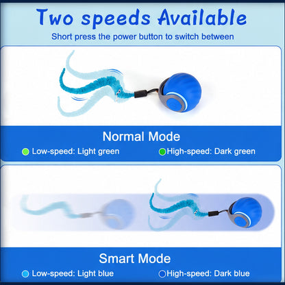 BowBooPets™ Interactive Smart Rolling Cat Ball