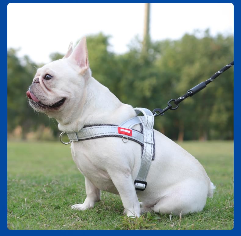 ccae89804cb3cb16ff44ef244bafcc10