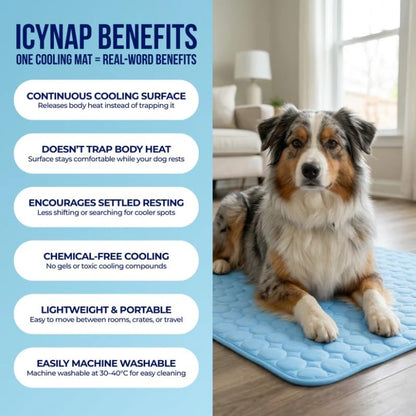be5d8877e0b87440fae77e605b6be012